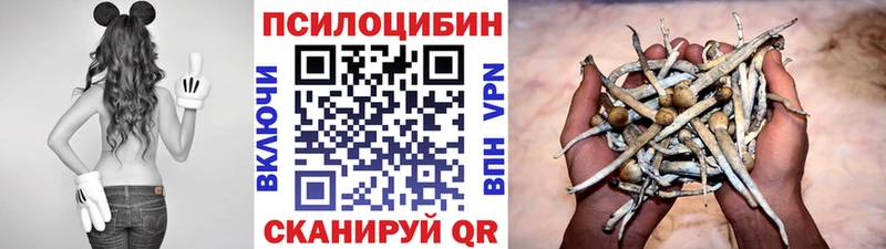 Псилоцибиновые грибы Psilocybe  кракен   Крым  купить наркотики цена 